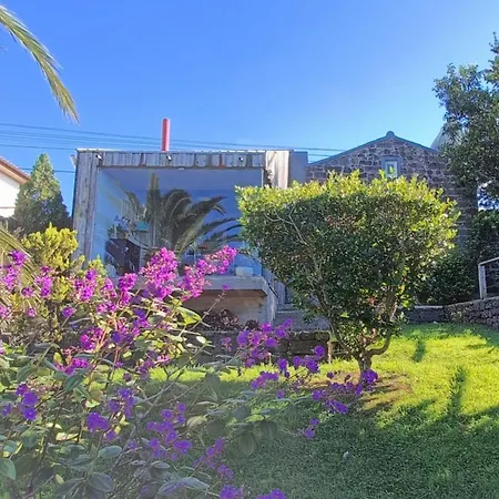 Casa Da Talha * Nordestinho