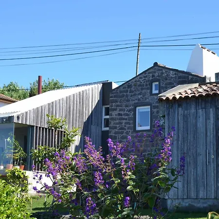 Casa Da Talha Holiday home Nordestinho